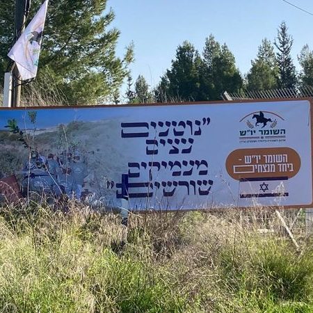 נטיעות אדיס עלם
